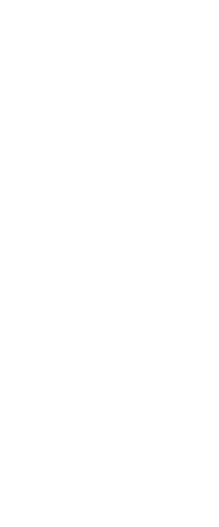 Yamaha Dynamic Guitar No.2