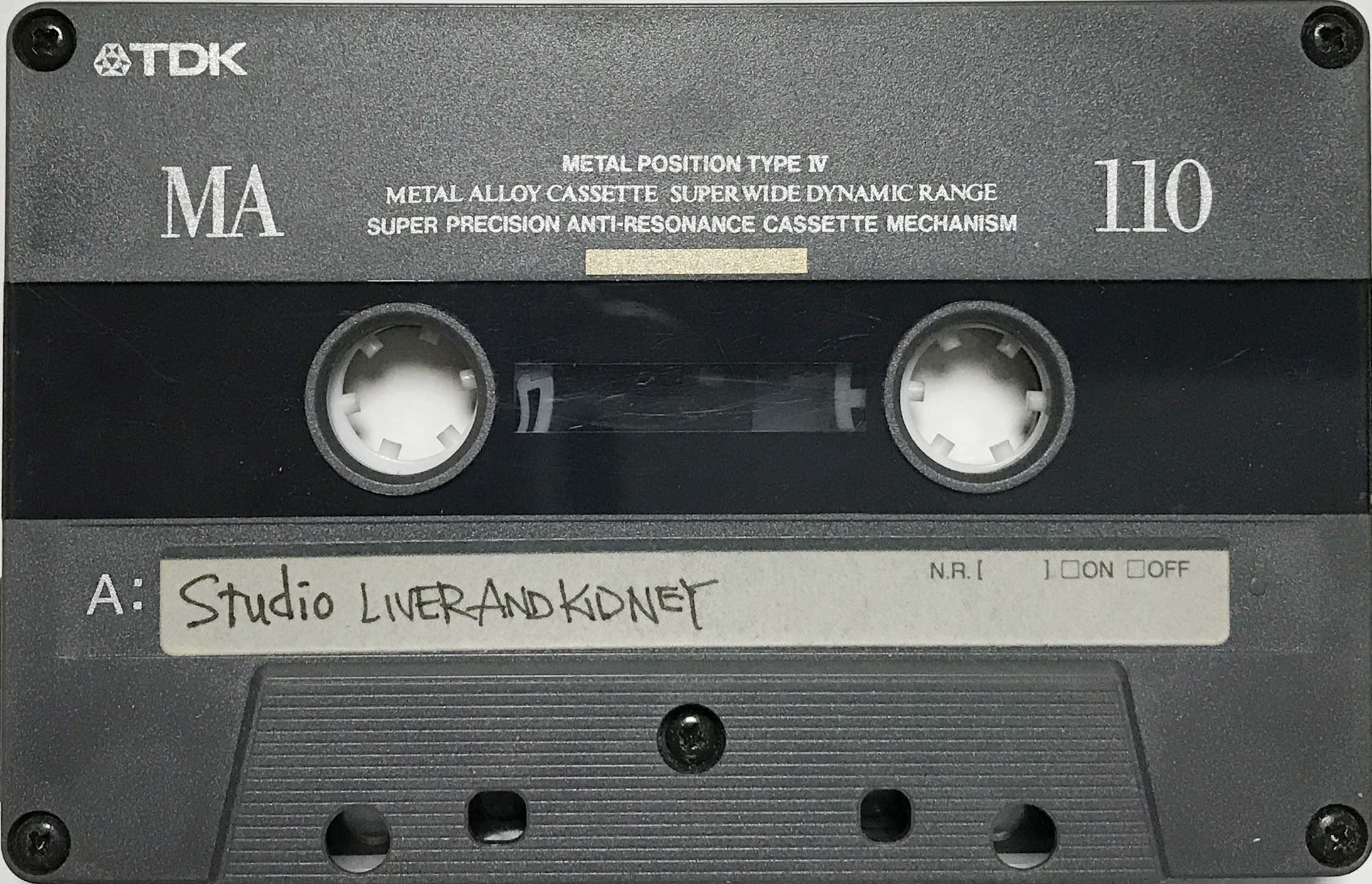Studio liver and kidney 1