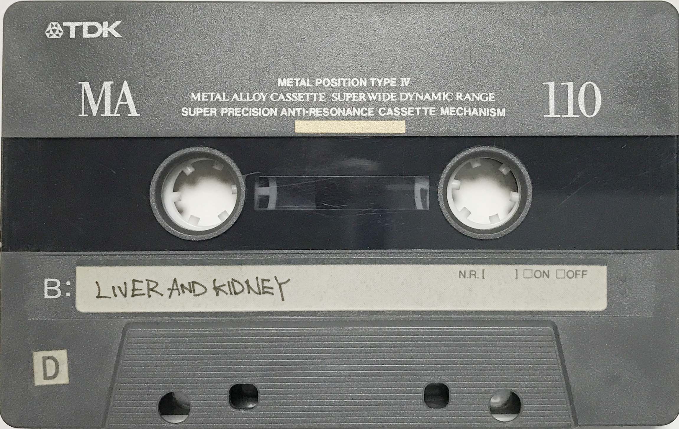 Studio liver and kidney 2